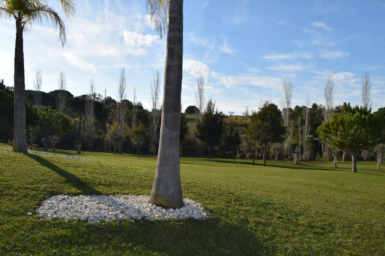 Hébergement de vacances Branca Albufeira